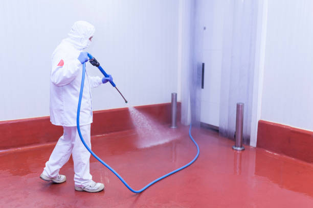 Best Graffiti Removal  in Buna, TX