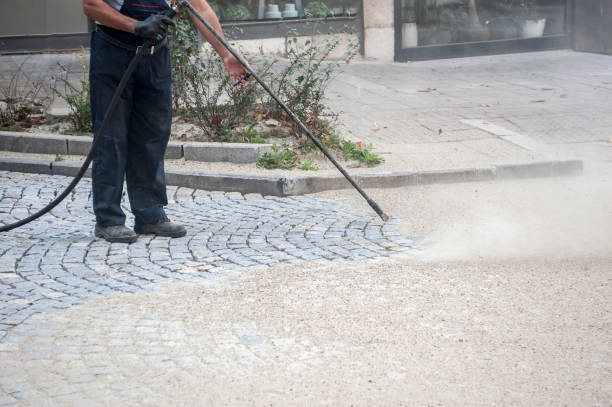 Best Sidewalk and Walkway Cleaning  in Buna, TX